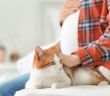 Schwangere aufgepasst: Tipps zum Schutz vor Toxoplasmose (Foto: AdobeStock - 189403431 Africa Studio)